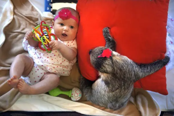 this baby has a unique pet friend 12 pictures 1 video 7