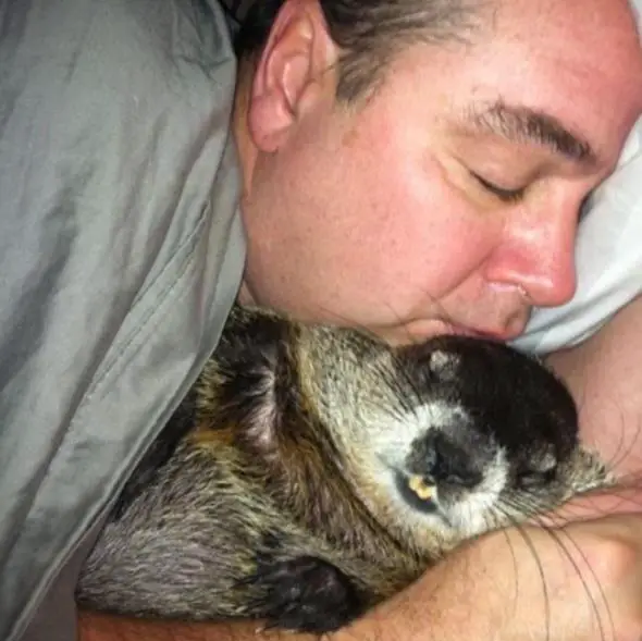 this story of a blind snuggly woodchuck will brighten your day 10 pictures 9