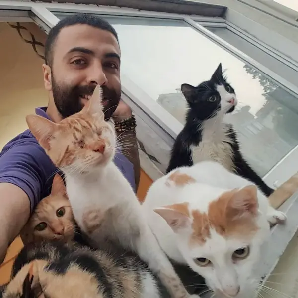 when a pianist saves cats from the streets magic happens 9 pictures 1 video 6