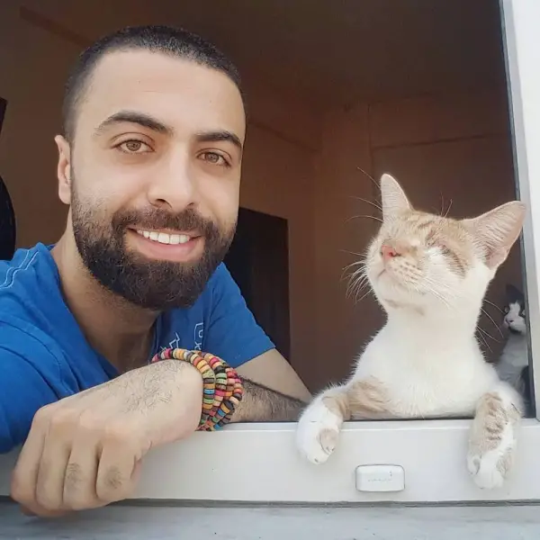 when a pianist saves cats from the streets magic happens 9 pictures 1 video 7