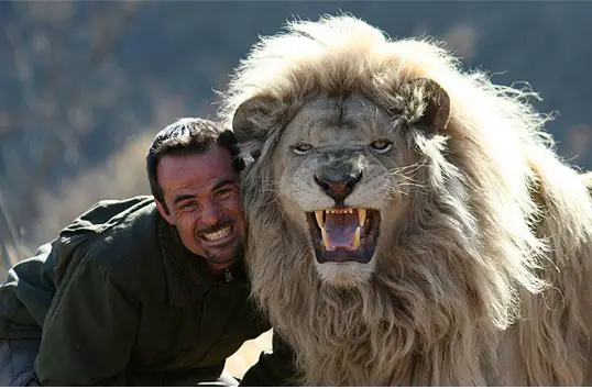 when work becomes pleasure 18 pics of lion whisperer from south africa 1