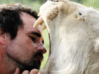 when work becomes pleasure 18 pics of lion whisperer from south africa 4