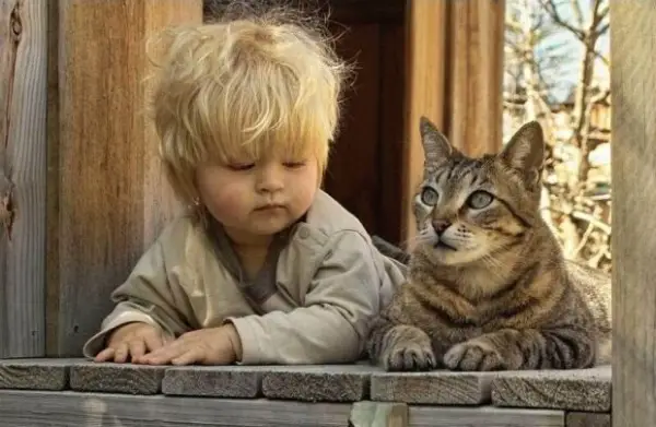 why should your child grow up with a pet 10 pictures 10
