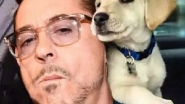 From Ironman to Animal Advocate: Robert Downey Jr.’s Inspiring Journey